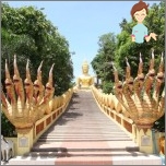 Ich will Spaß und interessant, das neue Jahr in Thailand zu feiern - wir werden Ihnen sagen, wie!