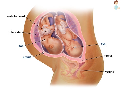 Ursachen, Behandlung von schwangeren Frauen
