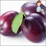 Fructe utile în timpul sarcinii - prune