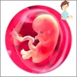 أسباب الشذوذ الوراثي الحمل المجمد