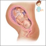 Schwangerschaft 39 Wochen - Entwicklung des Fötus und des Gefühls einer Frau