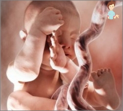 Schwangerschaft 37 Wochen - Die Entwicklung des Fötus und des Empfindungen der Mutter