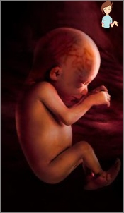 Schwangerschaft 33 Woche - Die Entwicklung des Fötus und des Sensation der Mutter