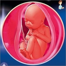 Schwangerschaft 35 Woche - Entwicklung des Fötus und des Gefühls einer Frau