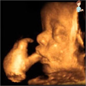 Schwangerschaft 35 Woche - Entwicklung des Fötus und des Gefühls einer Frau