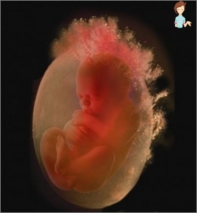 Schwangerschaft 31 Wochen - Entwicklung des Fötus und der Muttergefühl