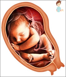 Schwangerschaft 32 Wochen - Die Entwicklung des Fötus und das Gefühl einer Frau