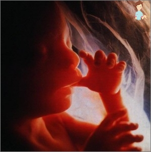 Schwangerschaft 30 Wochen - Die Entwicklung des Fötus und das Gefühl einer Frau