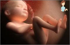 Schwangerschaft 27 Wochen - Fötale Entwicklung und Gefühle der Frau