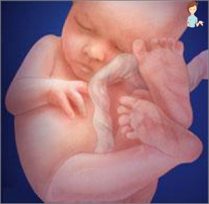 الحمل 28 أسبوع - تطوير الجنين والإحساس بالمرأة