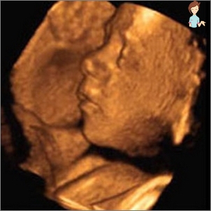 Schwangerschaft 29 Wochen - Die Entwicklung des Fötus und des Gefühls einer Frau