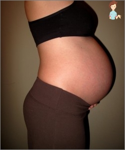 Stock Foto Animal în cea de-a 26-a săptămână de sarcină