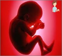 Schwangerschaft 22 Wochen - Entwicklung des Fötus und des Gefühls einer Frau