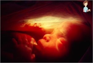Pregnancy 20 weeks - the development of the fetus and sensation of a woman