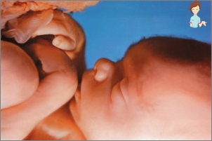 الحمل 19 أسبوعا - تطوير الجنين والإحساس بالمرأة